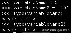 数字变量