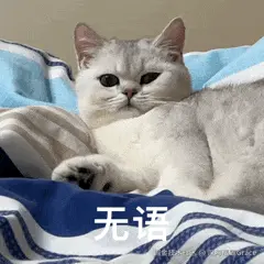 无语 _4_爱给网_aigei_com.gif