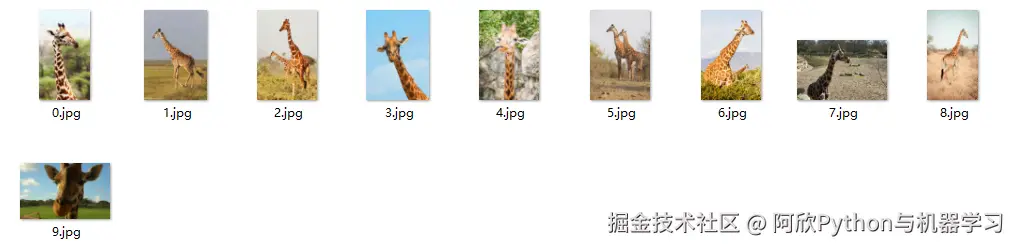 image-20240807211442191