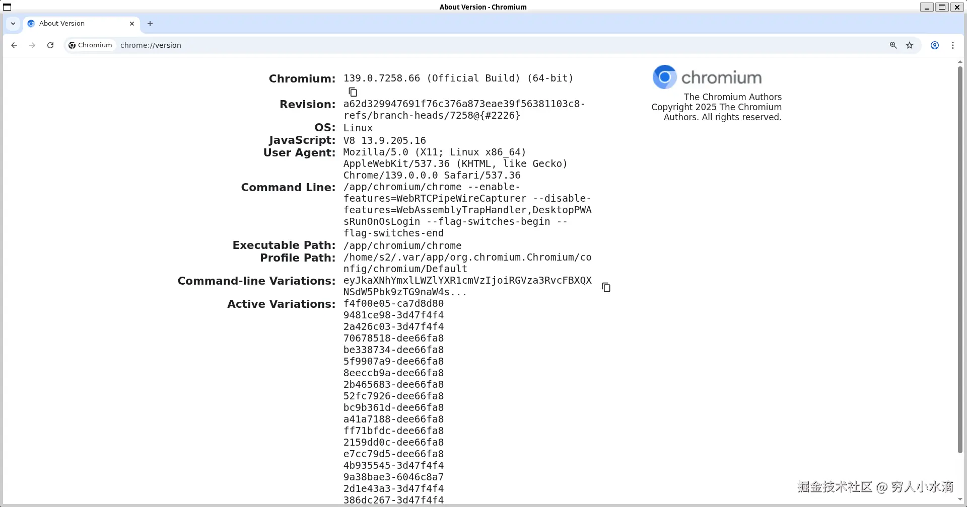 3-chromium-3.png