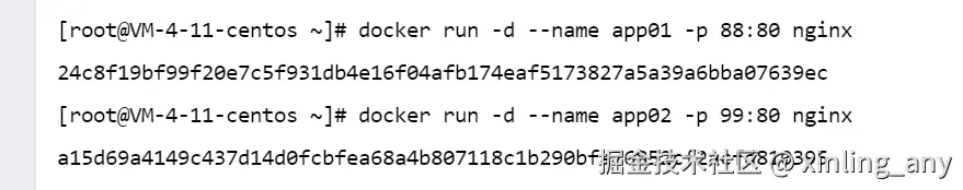 image-20240822094419271