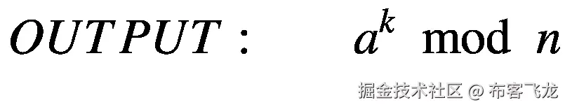 OUTPUT:\kern1.75em {a}^k\kern0.5em \mathit{\operatorname{mod}}\kern0.5em n