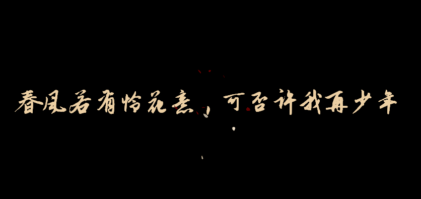 17.gif