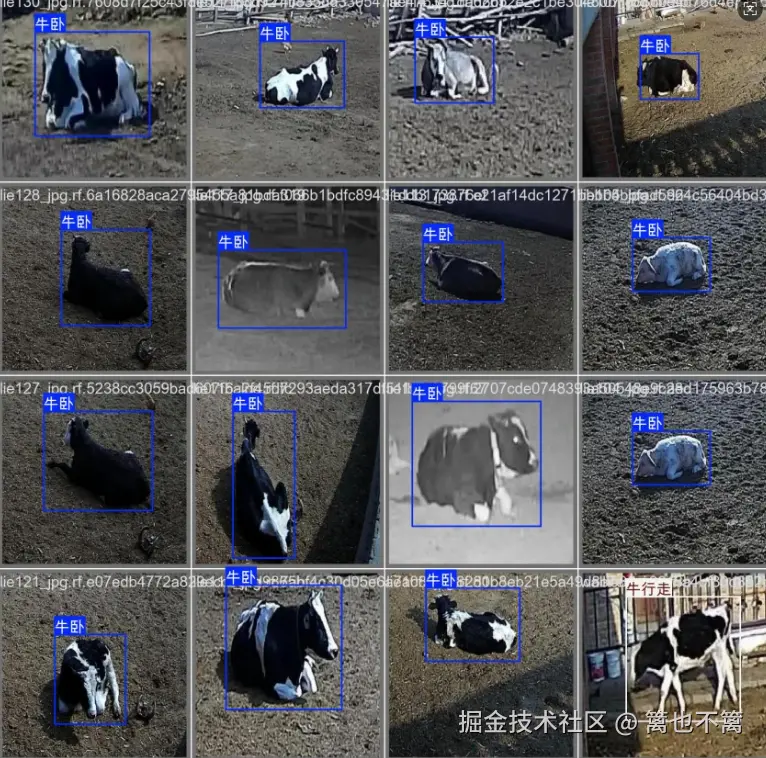 image-20251109013224331