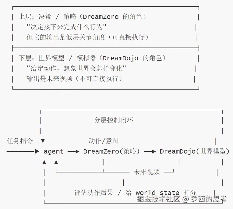 DreamZero-relationship