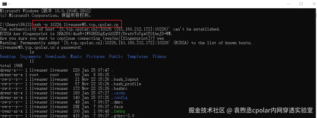 image-20240125154822556