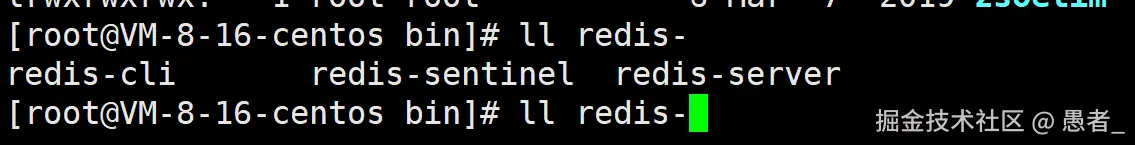 image-20240629155444267
