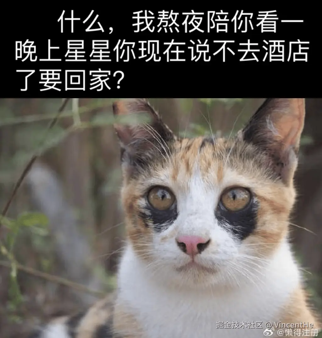 不去酒店了要回家?