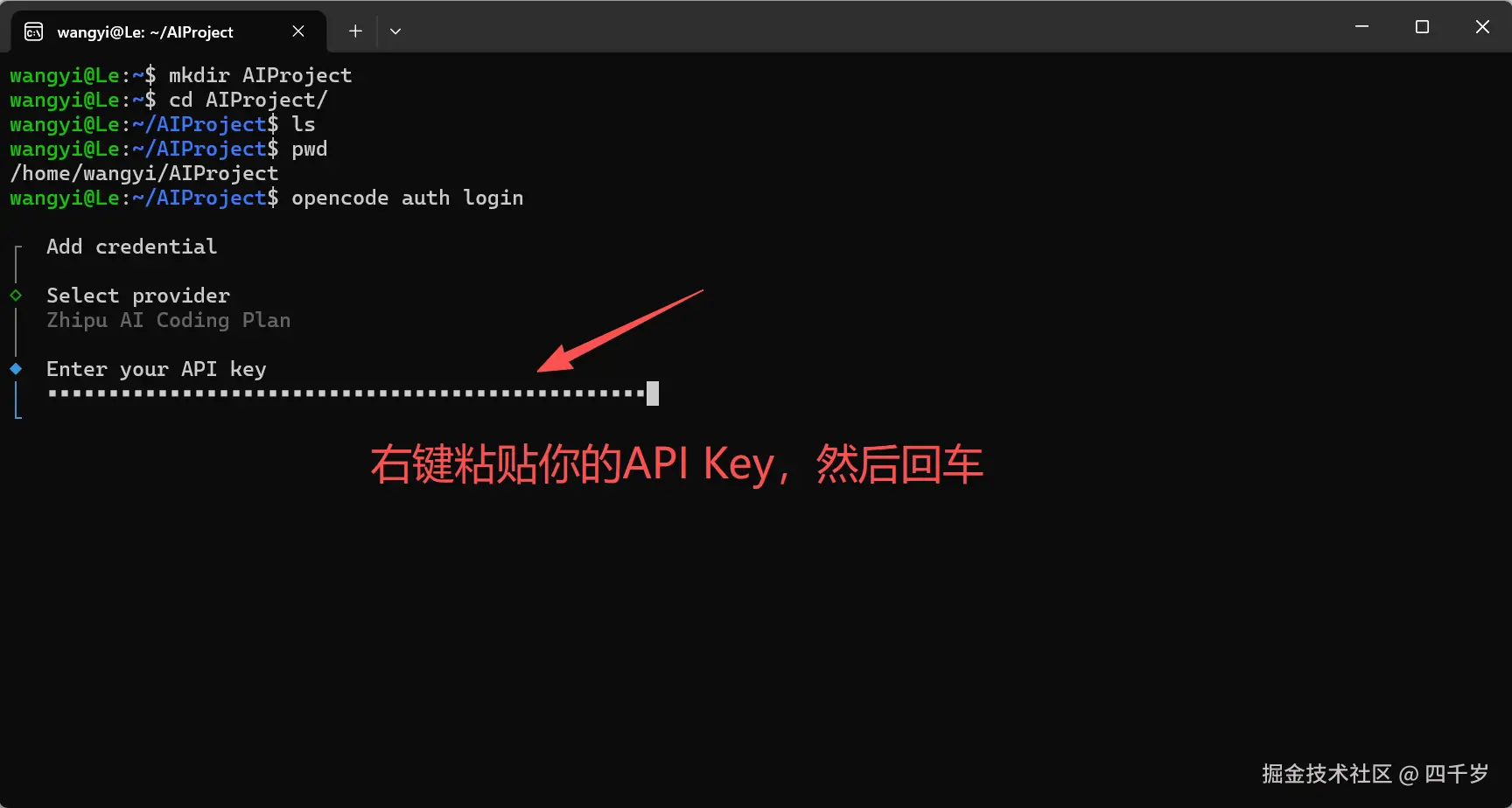 输入API Key回车