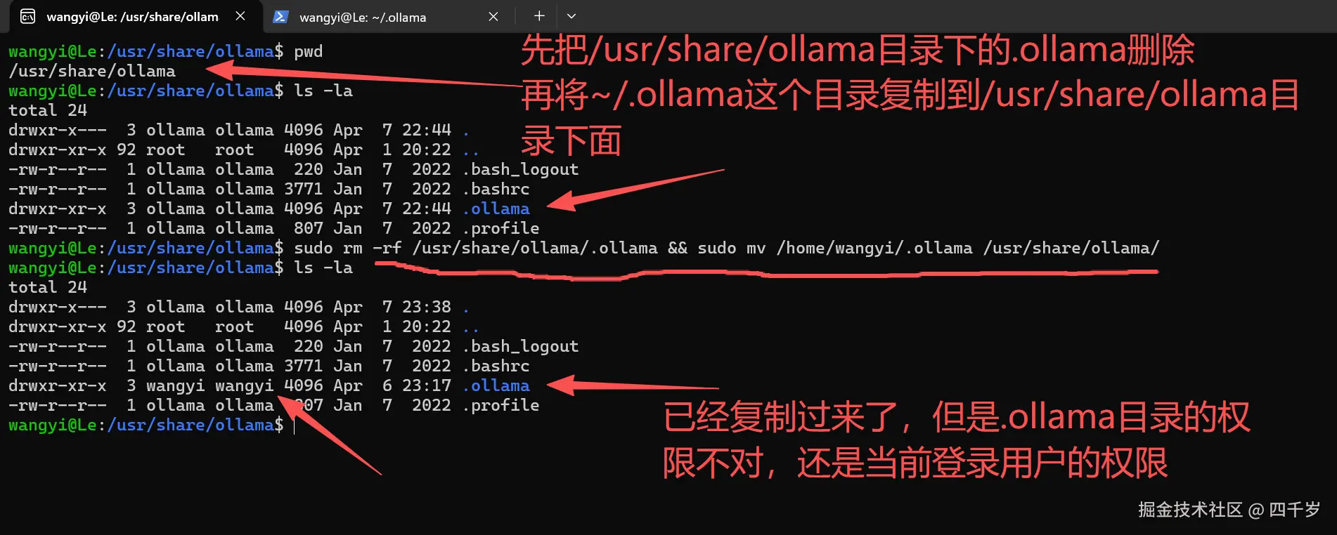 将已安装的本地大模型复制到ollama用户的home目录下