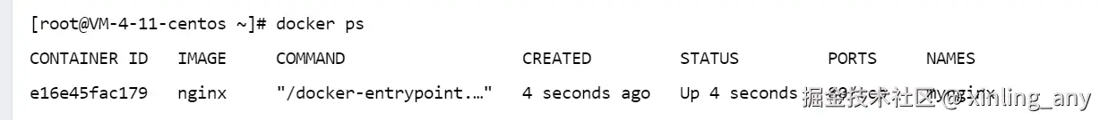 image-20240821110823570