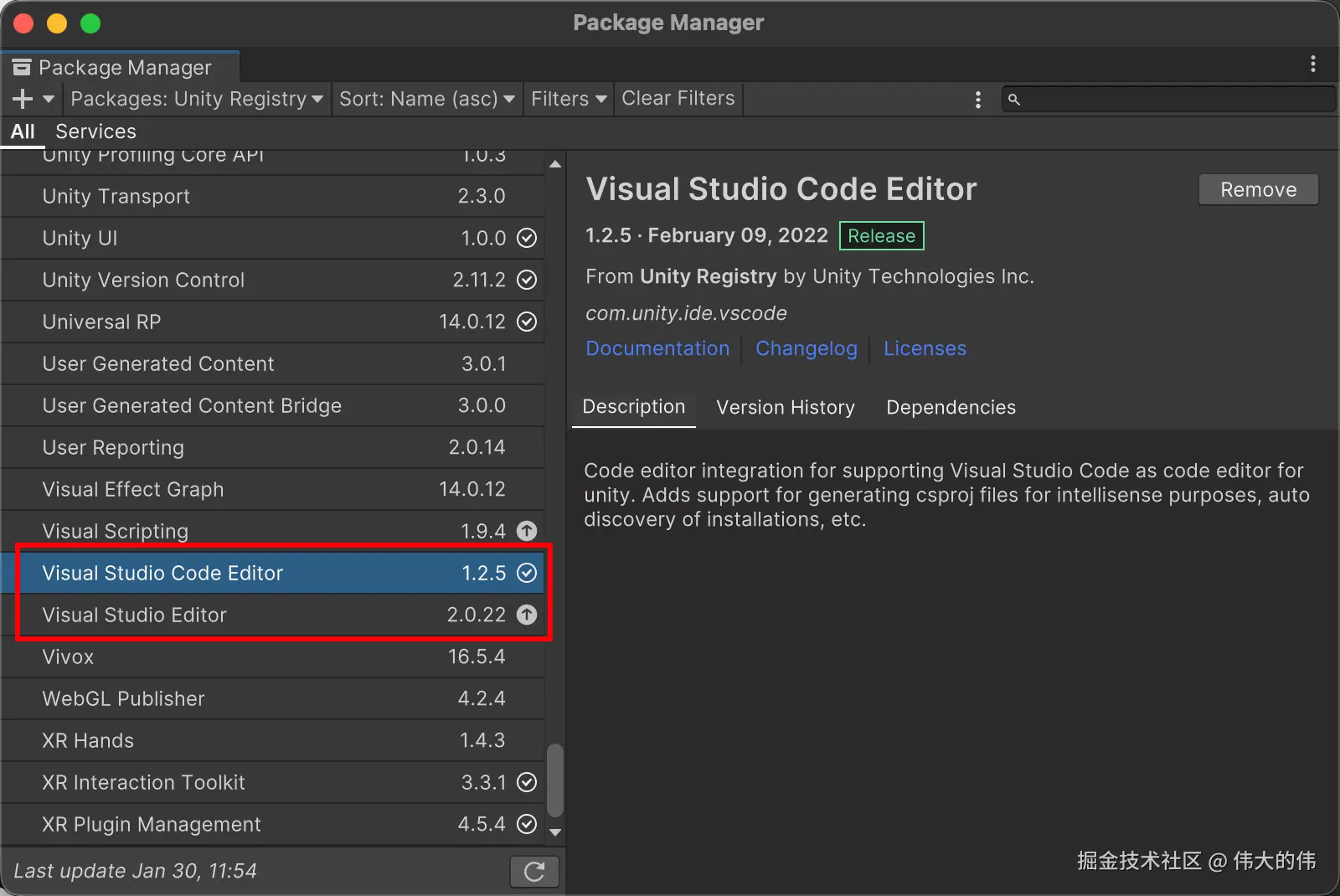 Unity IDE 支持插件