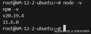 成功安装并验证 Node.js 版本
