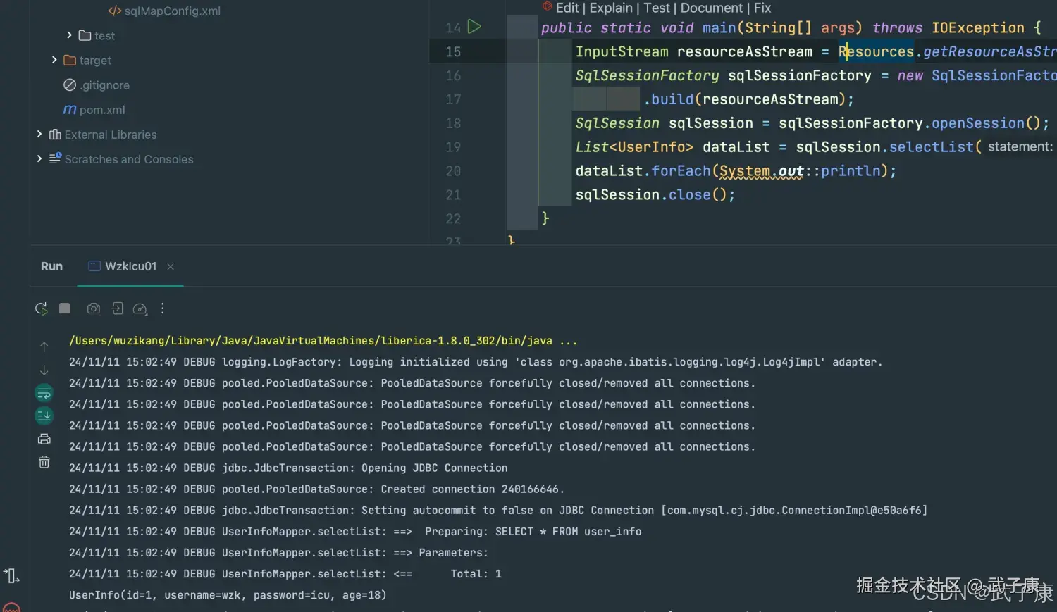 IntelliJ IDEA 运行窗口：展示 MyBatis 执行结果，左侧为项目结构，右侧为控制台输出，显示 DEBUG 日志和查询结果 UserInfo(id=1, username=wzk, password=icu, age=18)