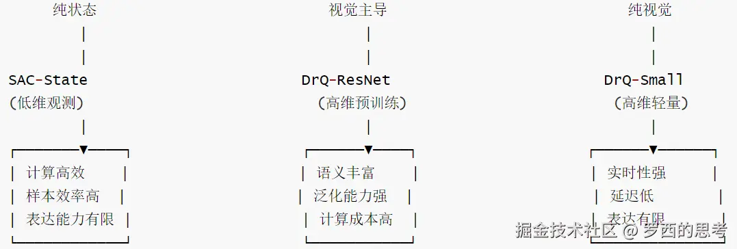 SERL-维度-3