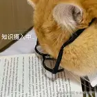 屏幕截图 2025-01-01 124004.png