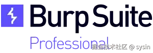 Burp Suite Professional logo