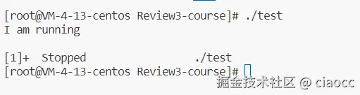 image-20231213221905341