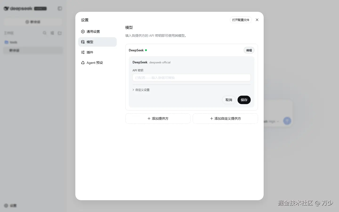 Edit DeepSeek Provider