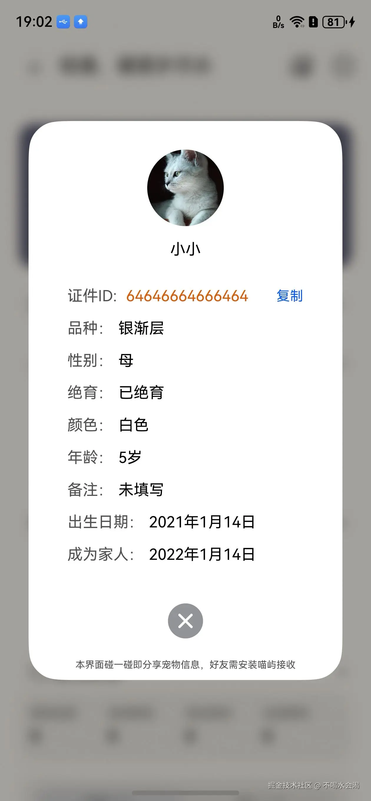 宠物信息界面设置碰一碰监听