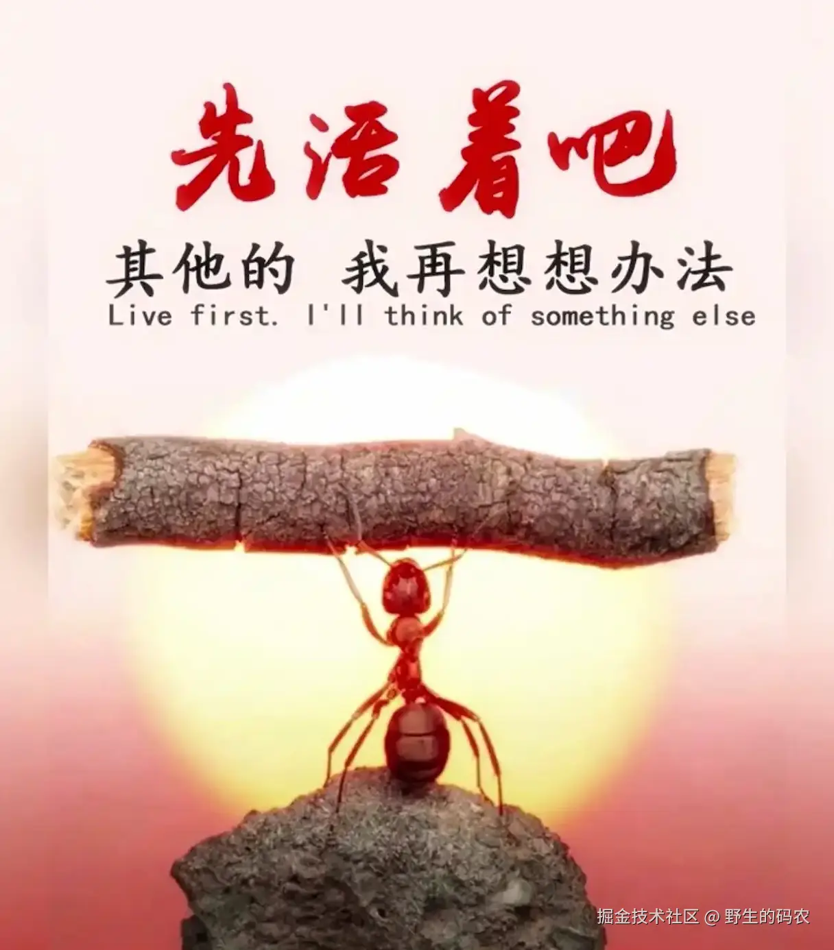 好好活着