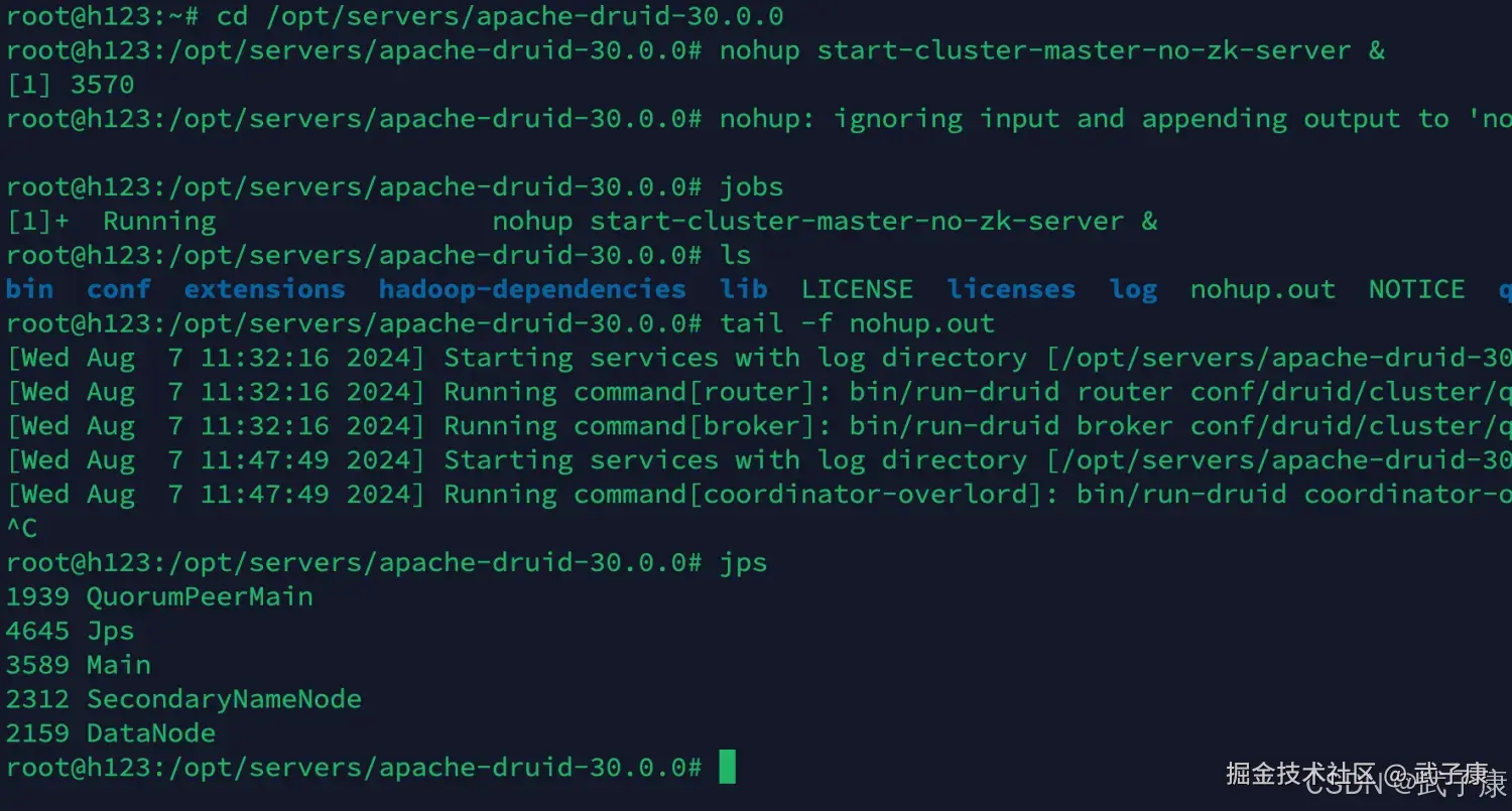 节点3 Druid 启动