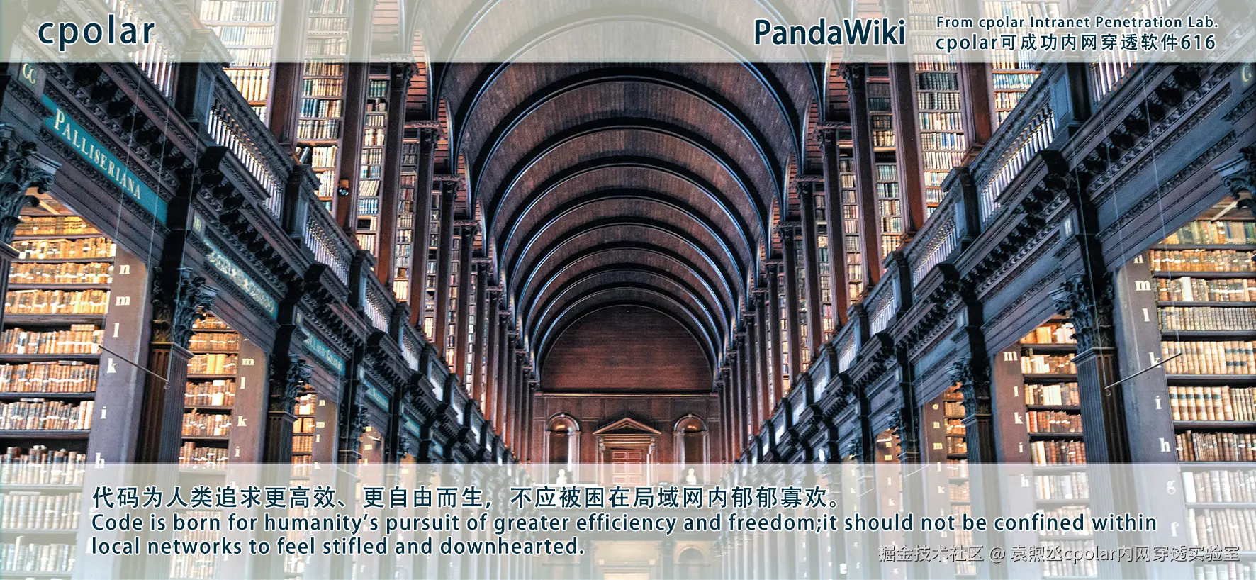 NO.616 PandaWiki-02.png