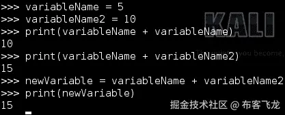 数字变量