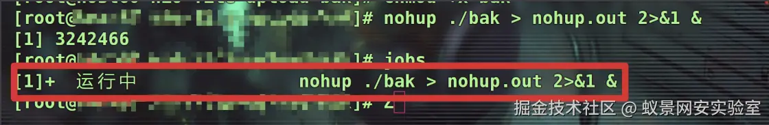 image-20250501170659232