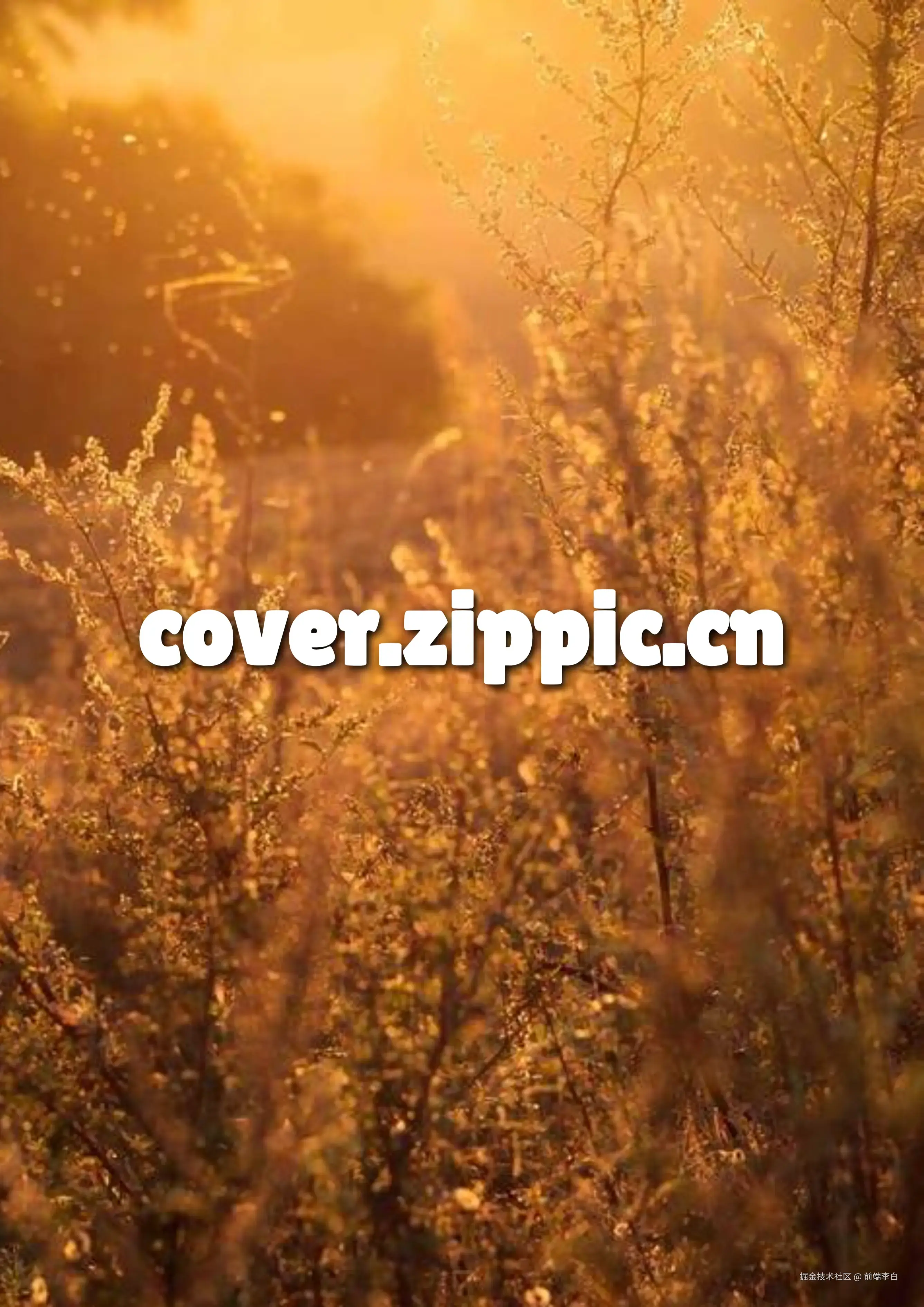 cover (33).webp