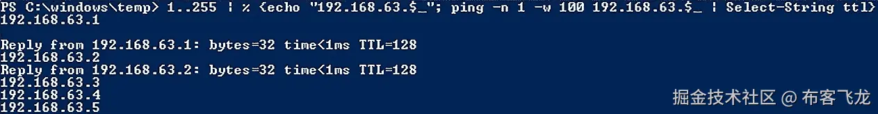 图 9.7 – 快速 ping 扫描器 