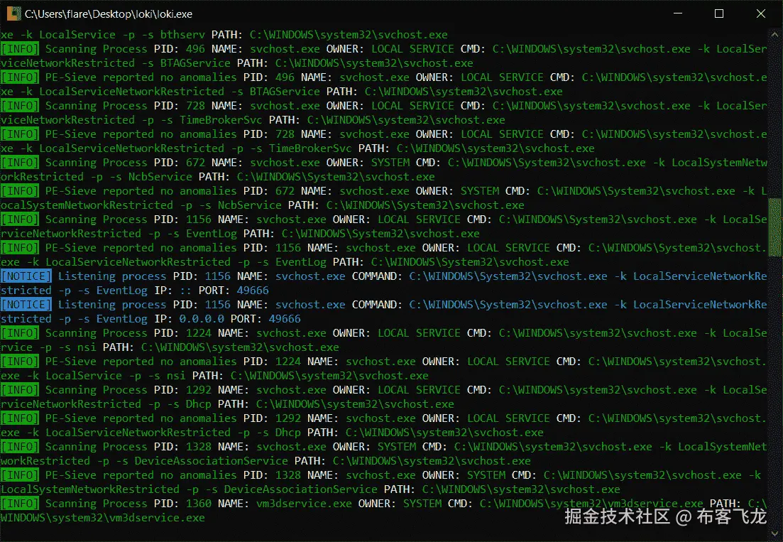 图 17.37 – Loki 扫描输出