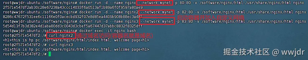 image-20240916041927162