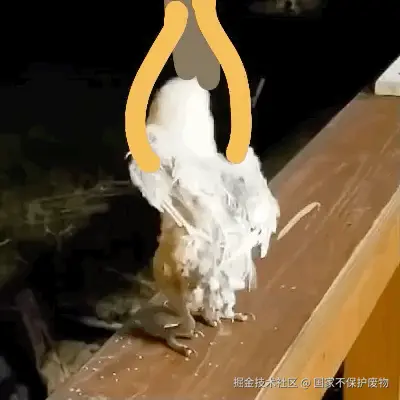 无字动图.gif