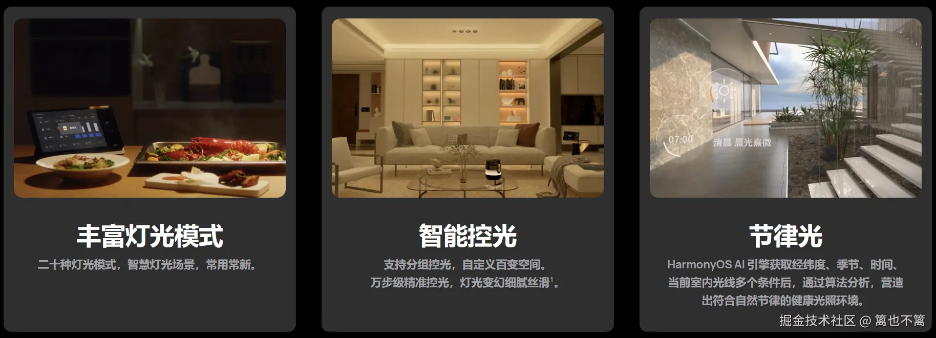 image-20241129011533737
