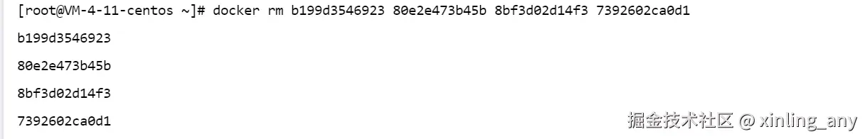 image-20240821110618283