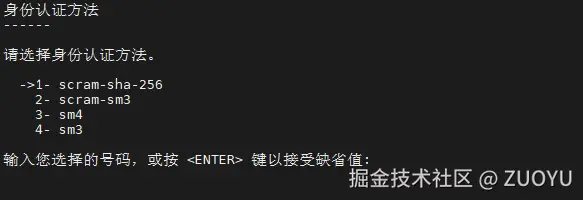 image-20250428021207223