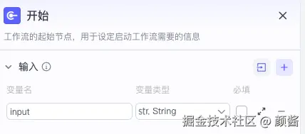 开始节点：配置入参 input