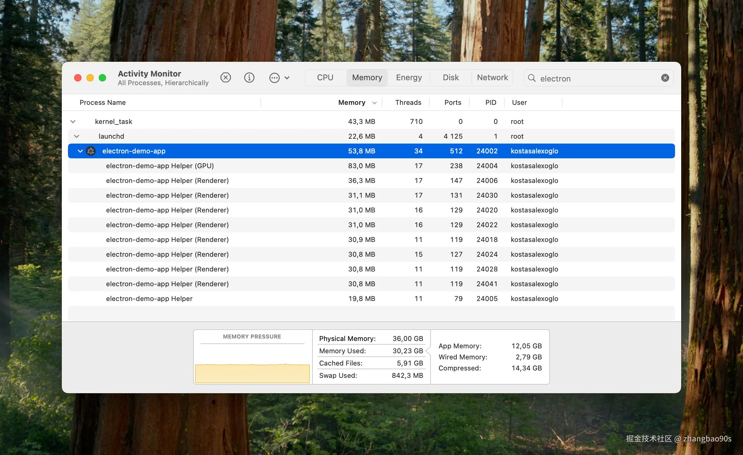 Electron 的内存使用