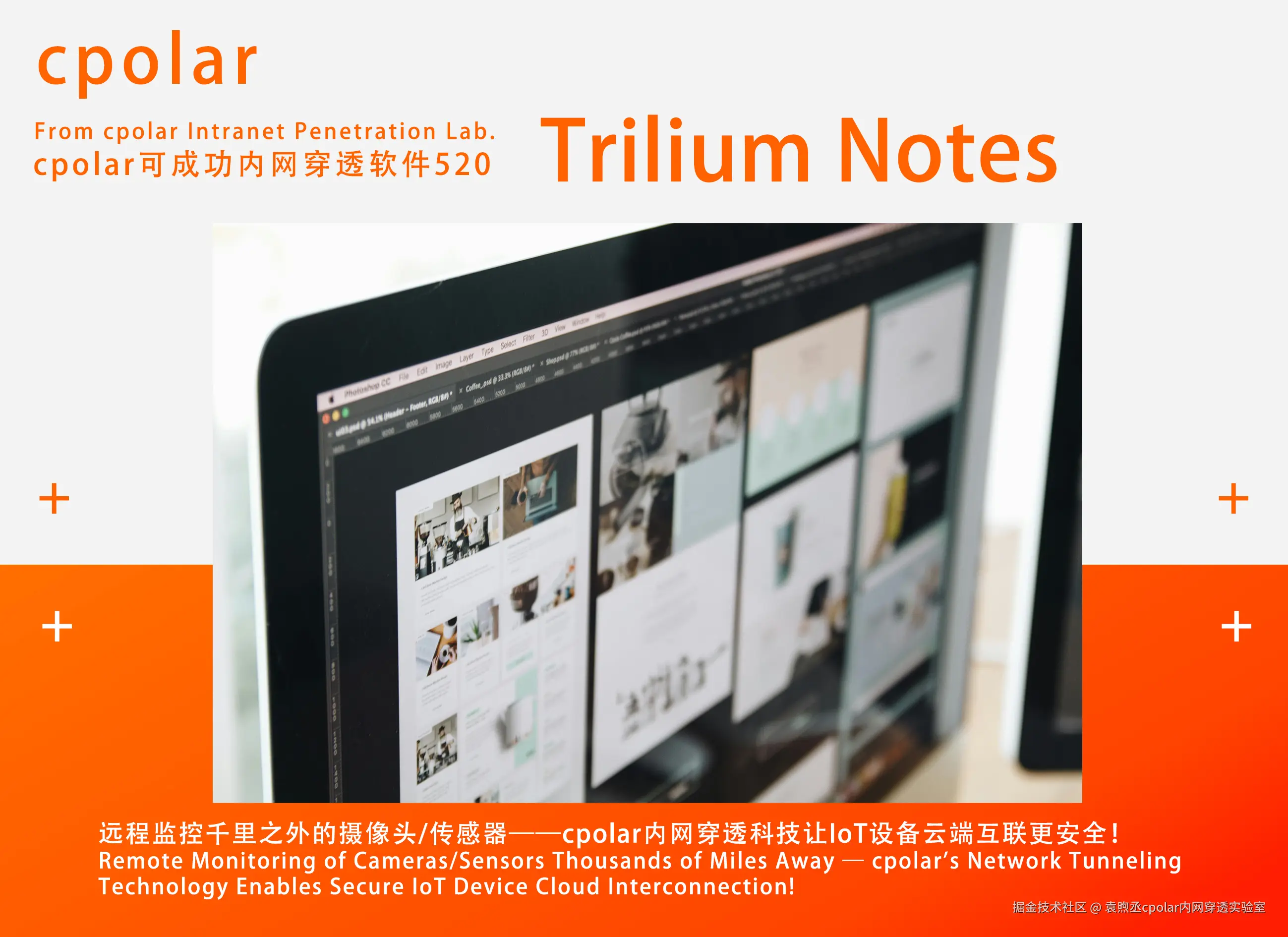 NO.520 Trilium Notes-03.jpg