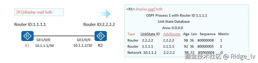 image-20240818141216422