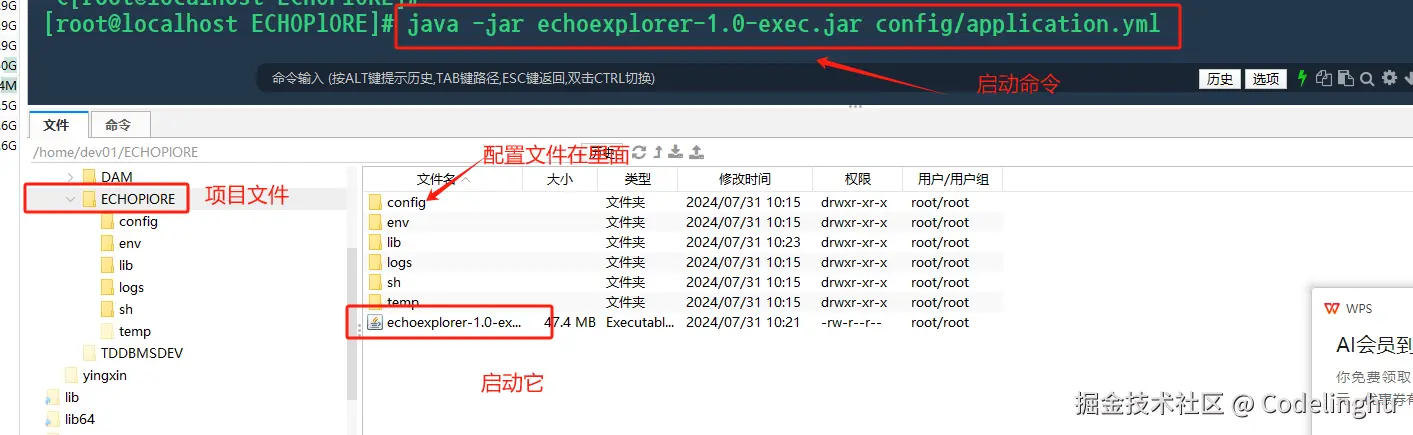image-20240801111858090