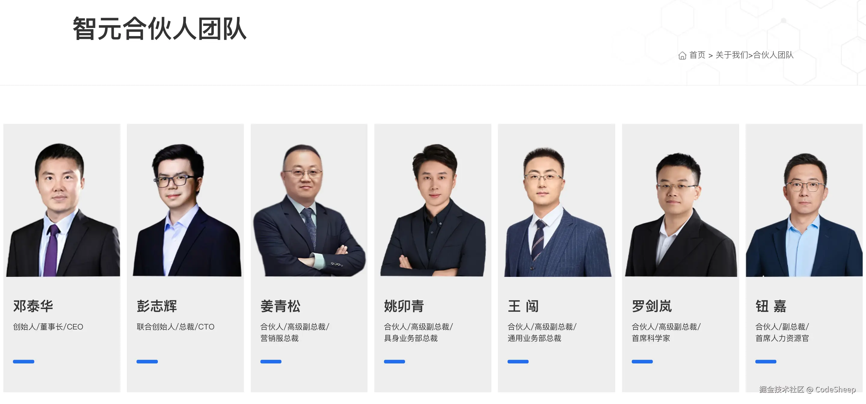 智元合伙人团队