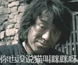 你也没说猫叫眯眯呀