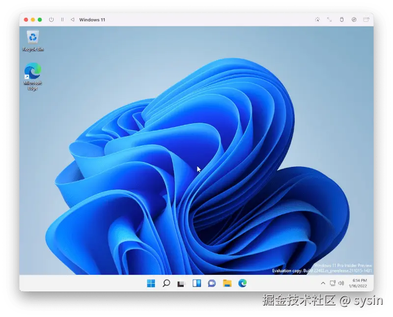 UTM 截图 sysin
