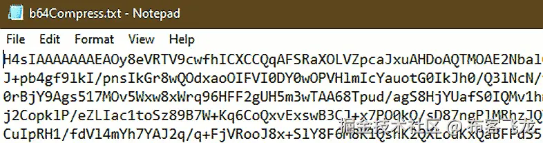图 9.11 – 我们二进制文件的纯文本 Base64 表示
