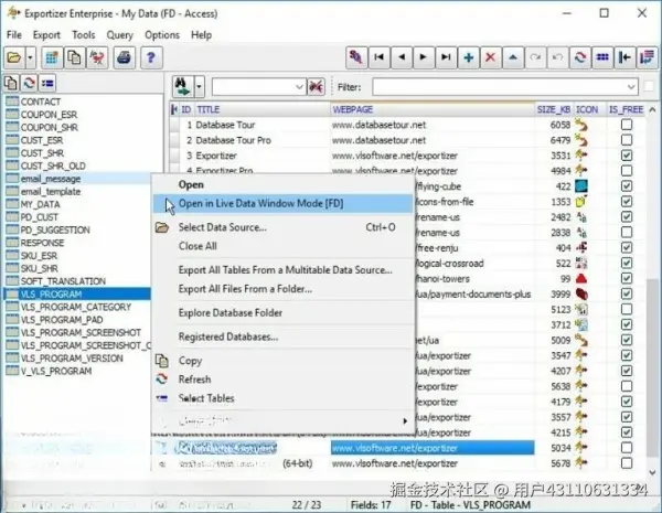 Exportizer Enterprise 2024：高效数据导出与管理的专业工具.jpg