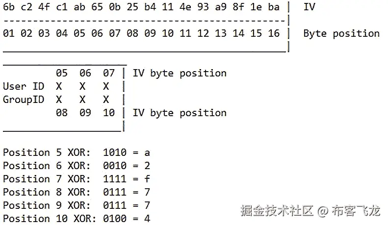 图 6.11 – 关联 IV 字节位置与 ID